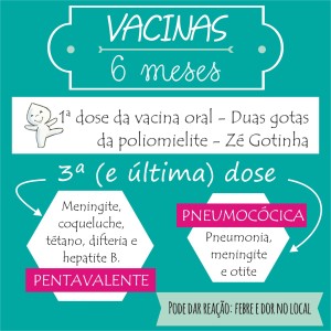 vacinas 6 meses