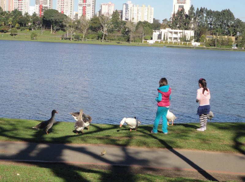 Três passeios em Curitiba com crianças